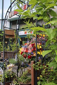 IMG_0181-30.jpg