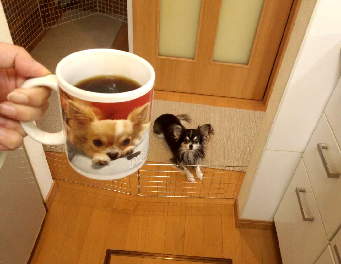 FJ3100sl06 (16)-1.jpg