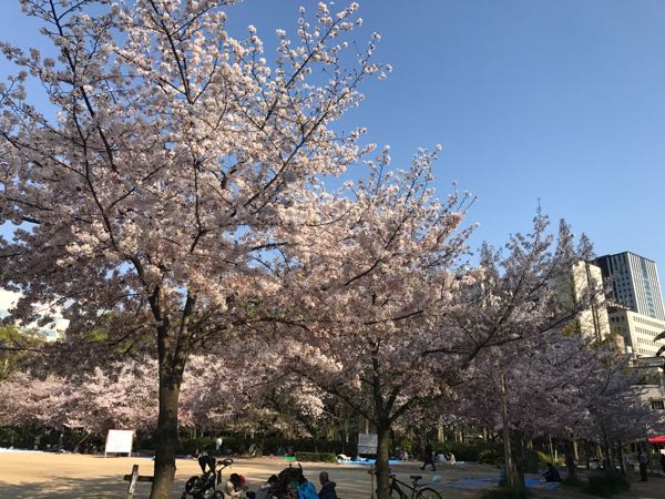rblog-20170417083416-04.jpg