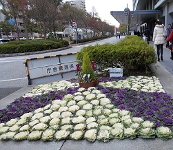DSCN0641.,.jpg