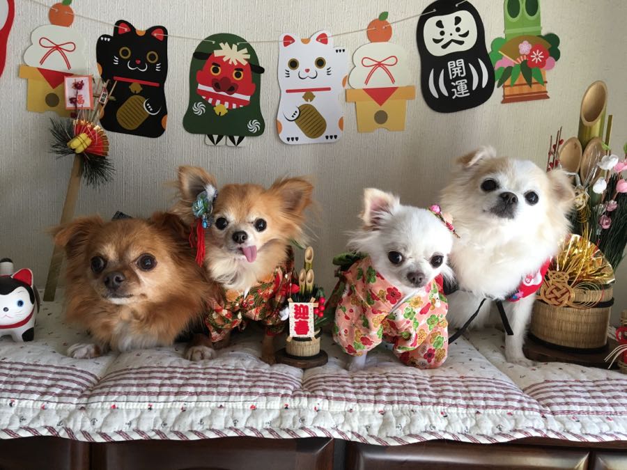 rblog-20190101161549-01.jpg