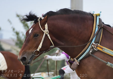 08KitanoOhja091514Ob4R_03