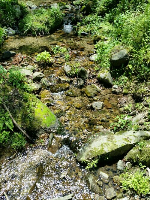 rblog-20160504205645-04.jpg