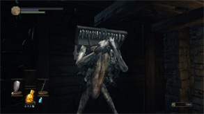 DS40.jpg