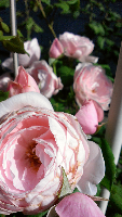 rblog-20130616160848-03.png