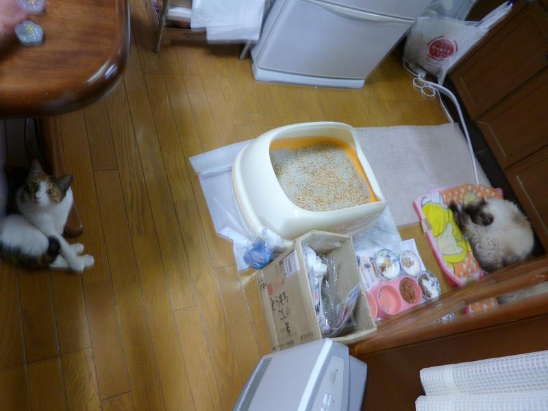 画像 2948.jpg