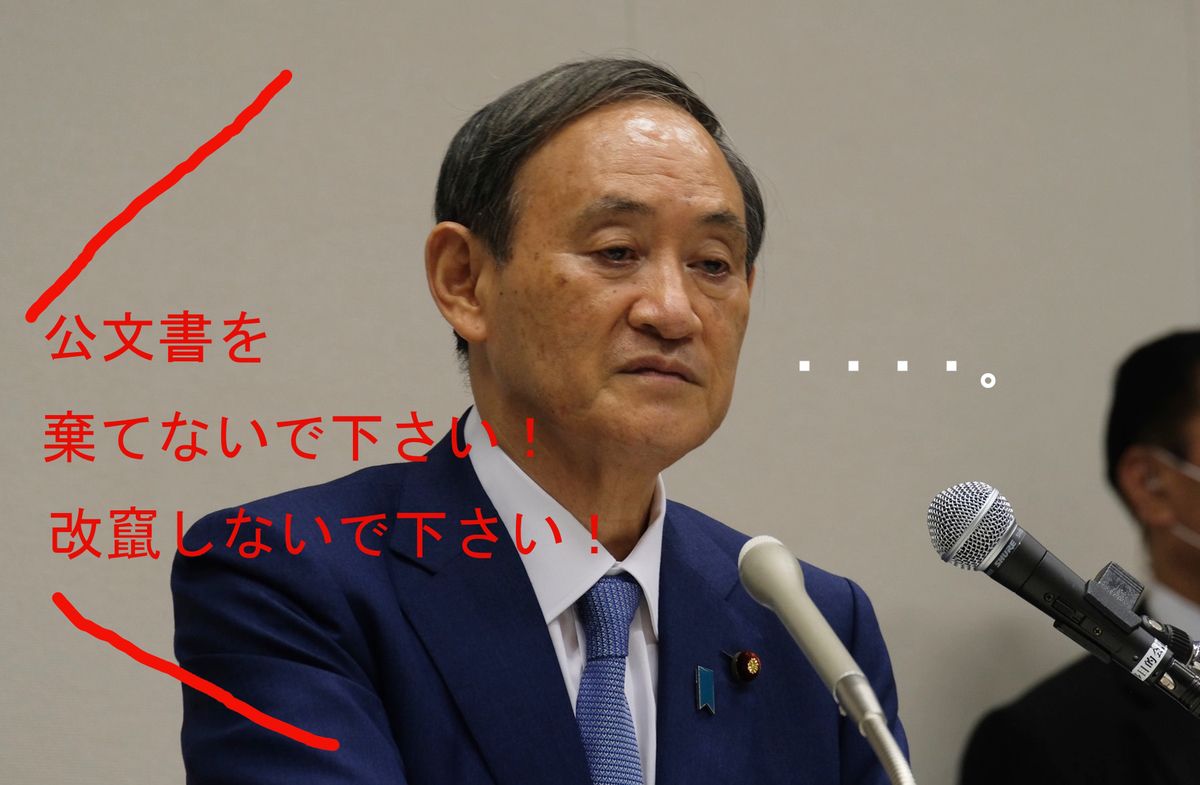新着記事一覧 しょう のブログ 楽天ブログ