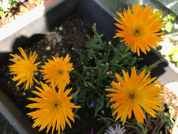 rblog-20180409192642-00.jpg