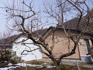 P1000101.JPG