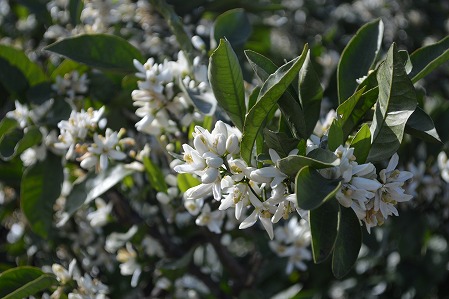 DSC_0395.jpg