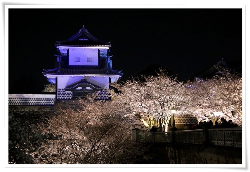 当分お休みに 桜をもとめて 4 兼六園と金沢城公園のライトアップ Part 2 4 2 猫の瞳は宝石 楽天ブログ