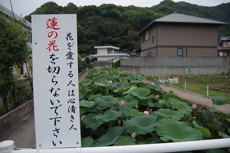 s-DSC_0573.jpg