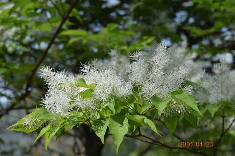 DSC_0357.JPG