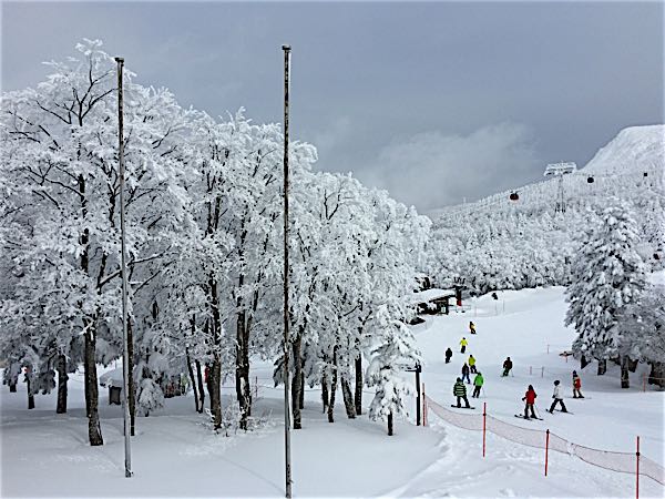 rblog-20160123124915-02.jpg