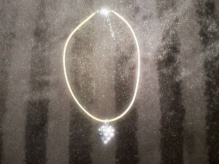 ツクペン全体像