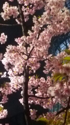 rblog-20150316191429-02.jpg