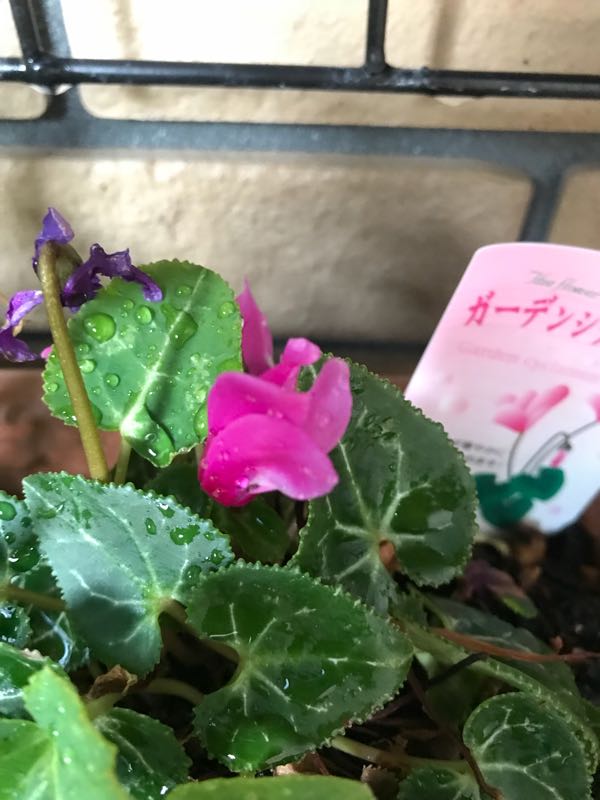 rblog-20180429183115-04.jpg