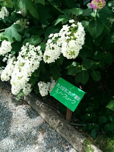 rblog-20170706120201-00.jpg