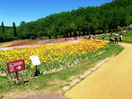 2013滝野2.jpg
