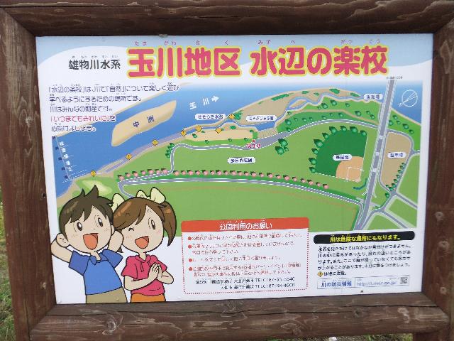 DSCF0793.jpg