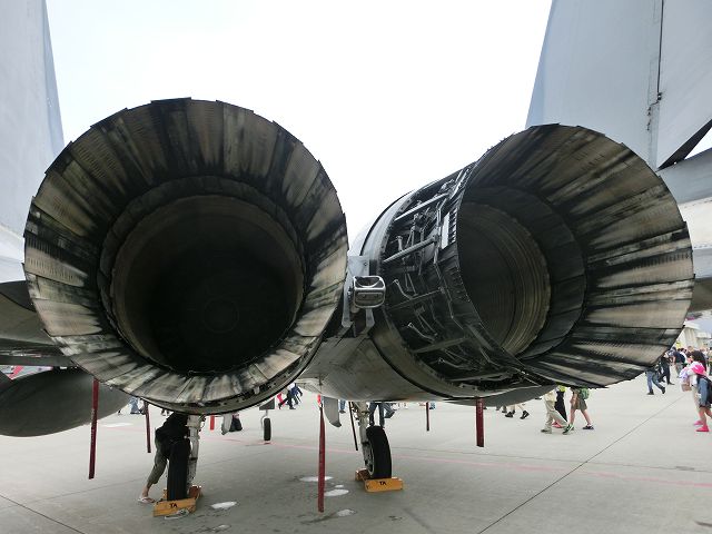 CIMG9986.jpg