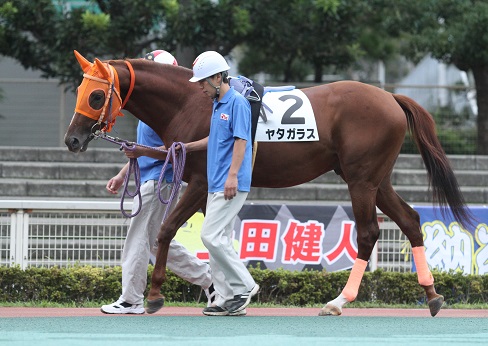 新馬８.jpg