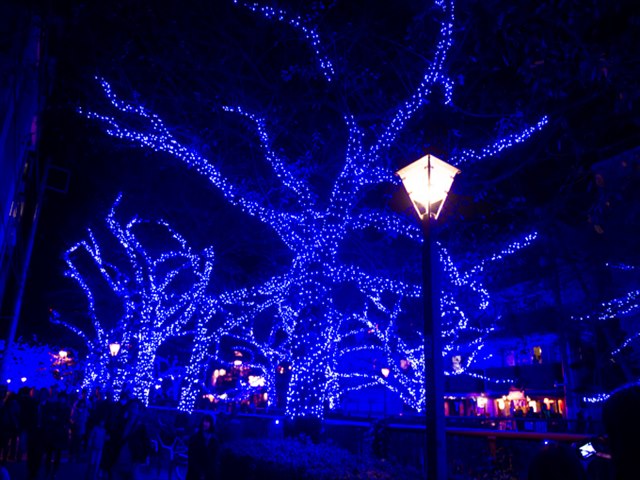 aonodokutsu_10[1]_R.jpg