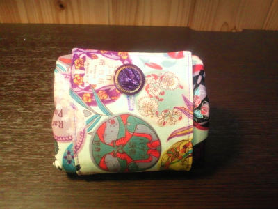 CameraZOOM-20120202170911196.jpg