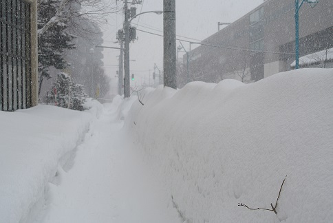 今日も時折雪雪が