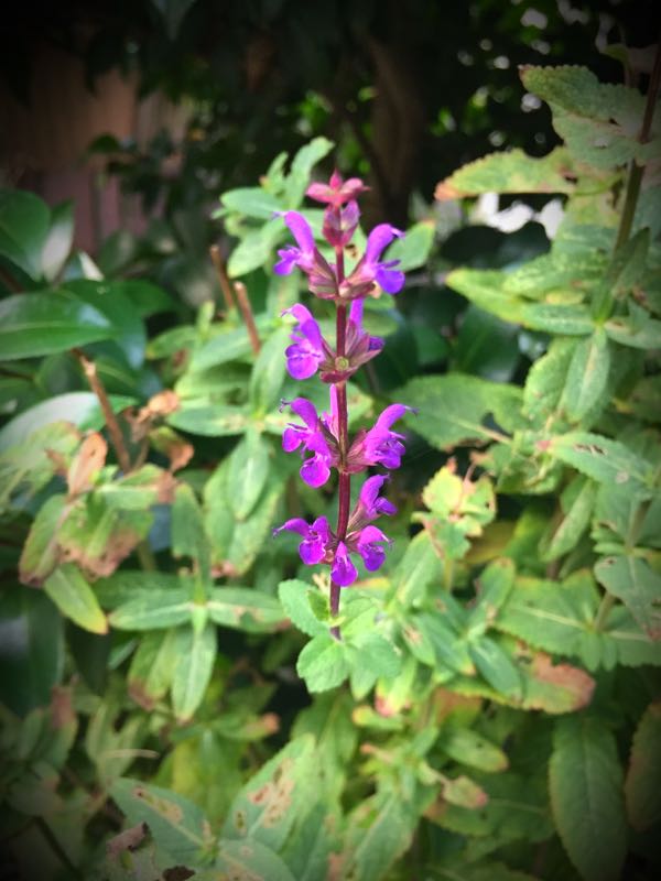 rblog-20160725203748-08.jpg