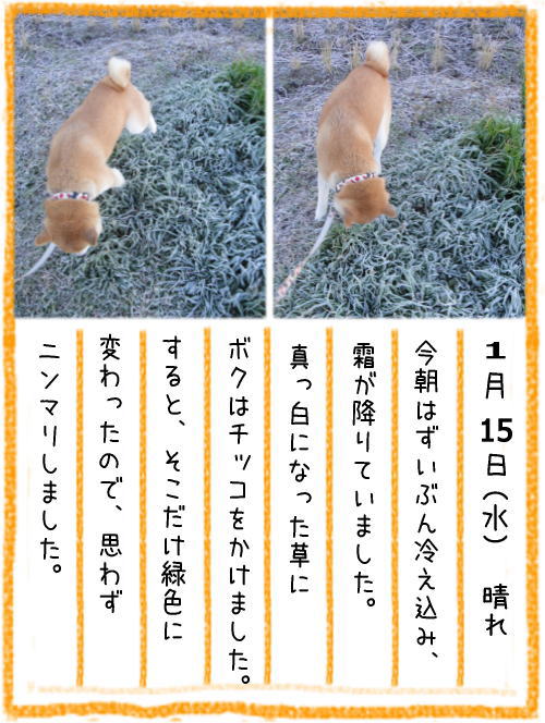 0115霜5.jpg