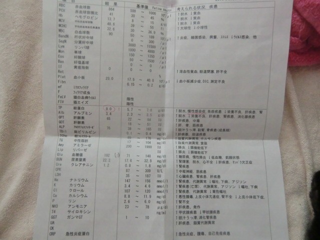 無題-24bitカラー-05.jpg