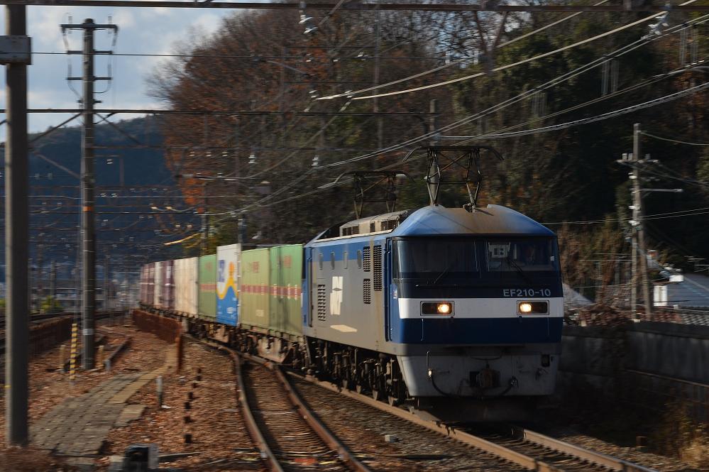 DSC_7619.JPG