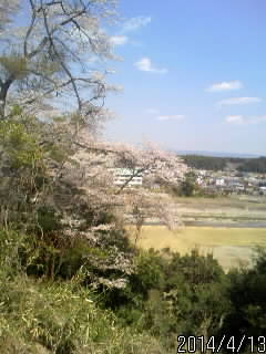 土塁から。蛇尾川と桜