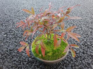 rblog-20141102153113-04.jpg