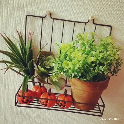 2015-10-01-09-59-23_deco.jpg