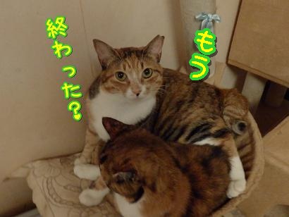 もう.JPG