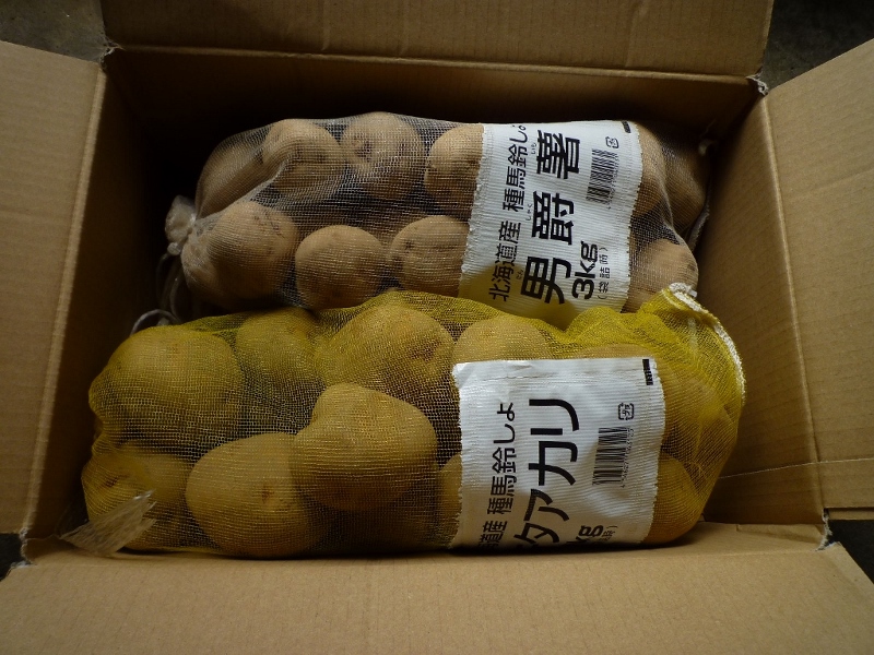 MEMO0046 (1024x768) (800x600).jpg