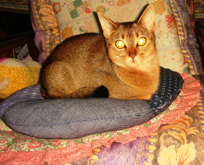 DSC07844.jpg