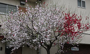 IMG_8297-5.jpg