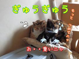 詰めて.JPG
