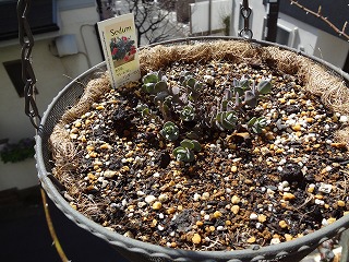 DSC00149.jpg