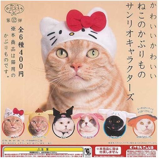 ねこのかぶりもの でグリーティングをしてみたら ピューロ ぐでぐでママのブログ 画像転載 お断り 楽天ブログ