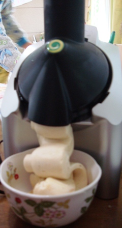 20140126 yonanas 2.jpg