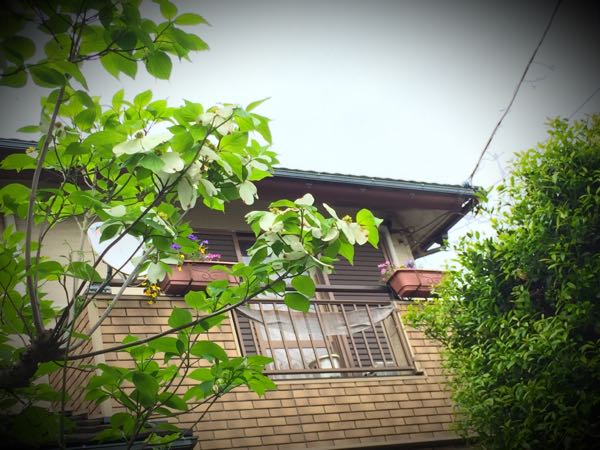 rblog-20160426010130-05.jpg