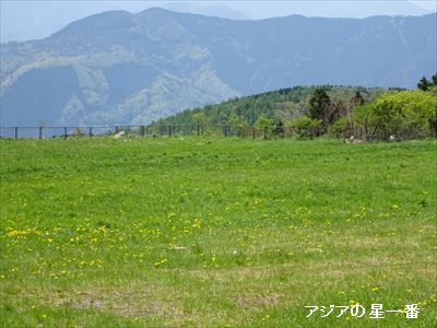 20160503 1四国カルスト9