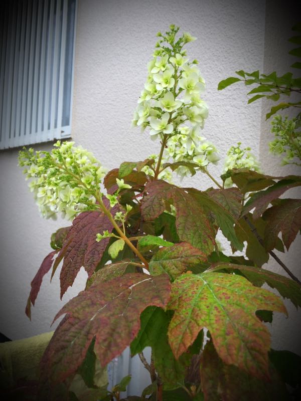 rblog-20160528224739-07.jpg