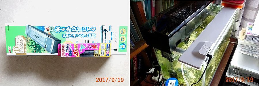 ９／１９フィルターを取り替えた.jpg