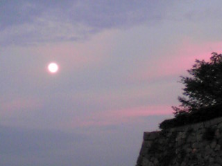 PA0_0773.JPG