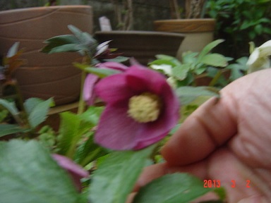 DSC00883.JPG